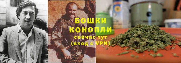СК Горняк
