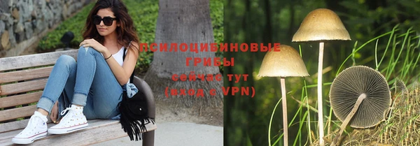 СК Горняк